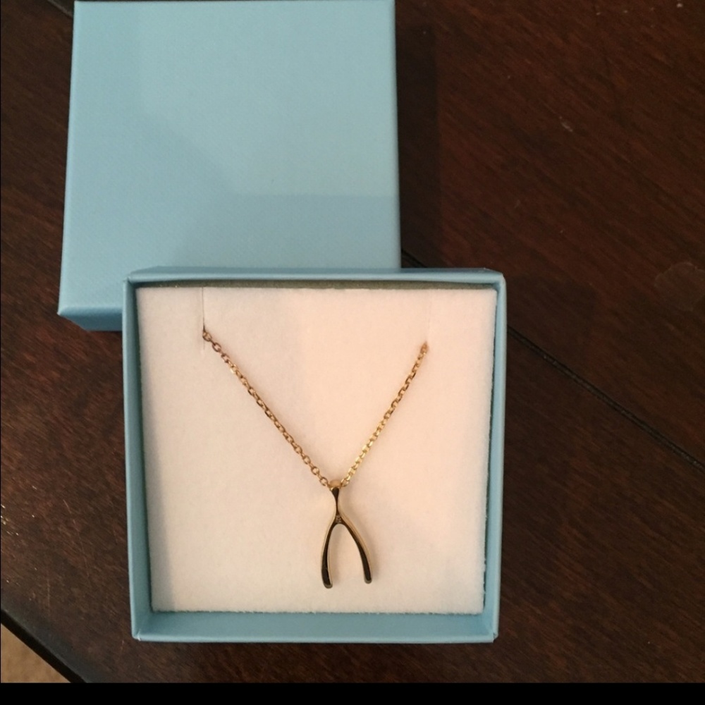 wishbone necklace